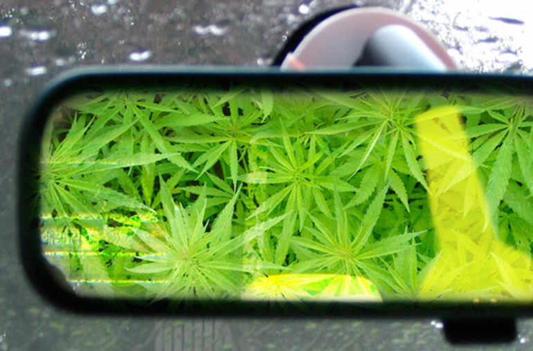 Cannabis et alcool au volant, le combo perdant